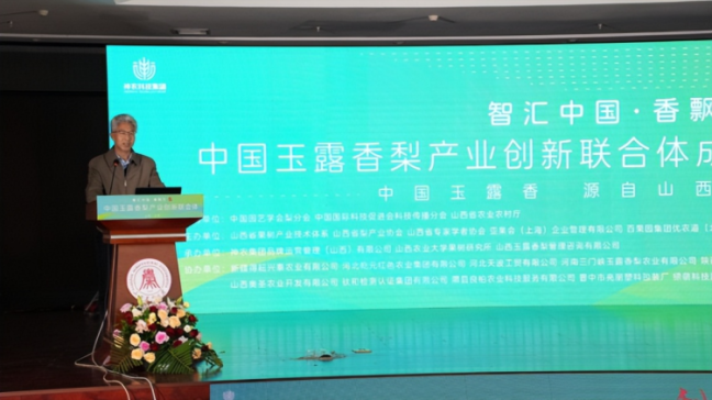 1760799239-d09360081f4b150