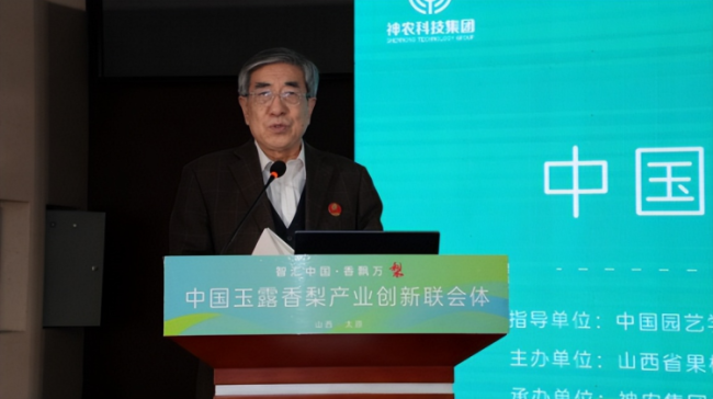 1760799240-a58aa5a4372418b