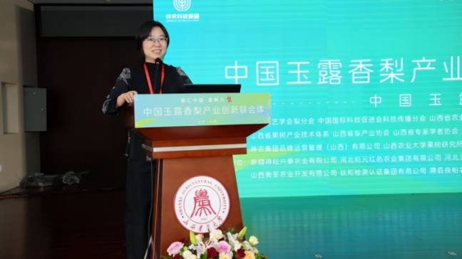 1760799241-1dd7bfe15fa3fa6