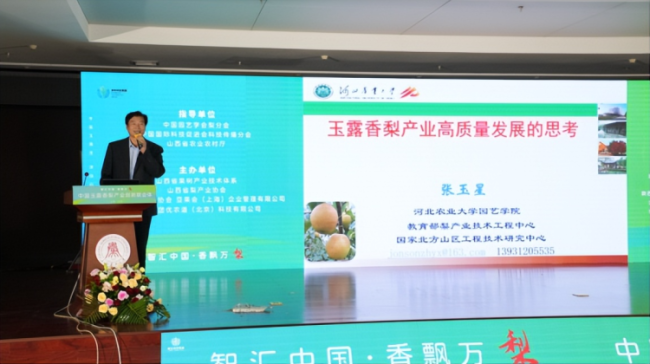 1760799243-460e8c59b5ce5b8