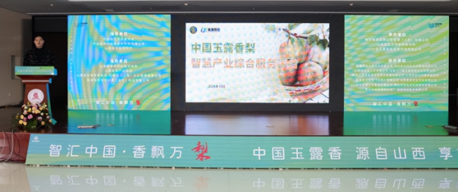 1760799243-d6d8697e2119c7d