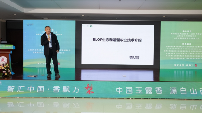 1760799245-0e74213674eb1fa