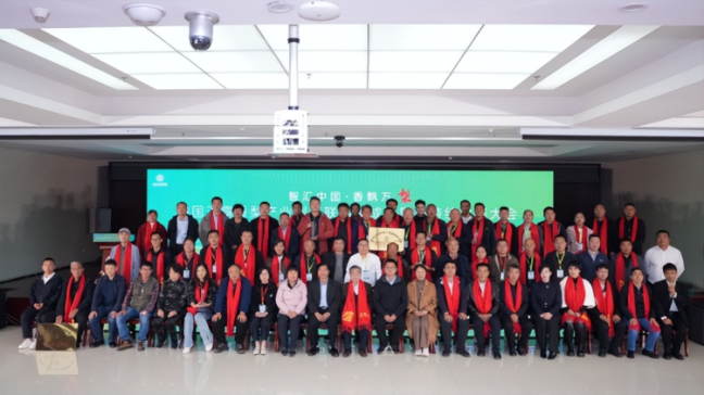 1760799246-529d2bed36eba42