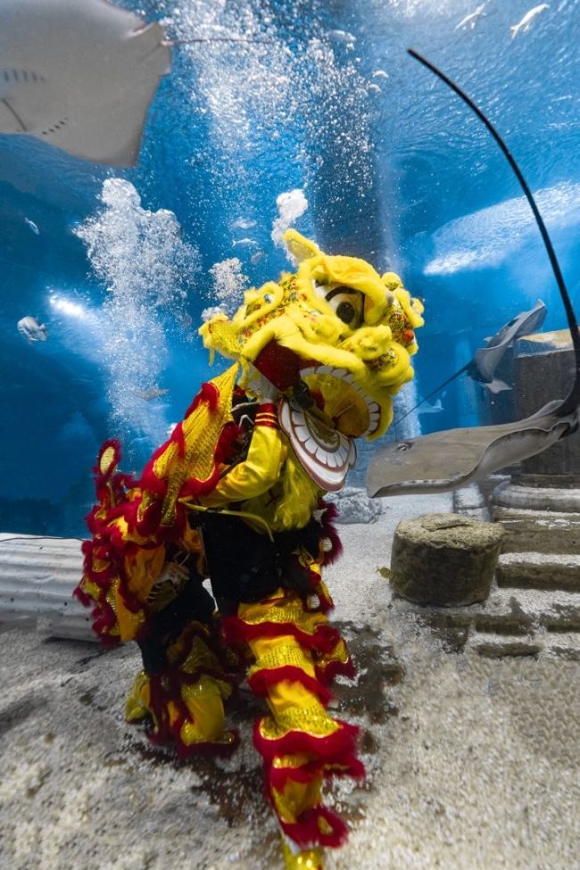 1771438281-97d9259b8611624