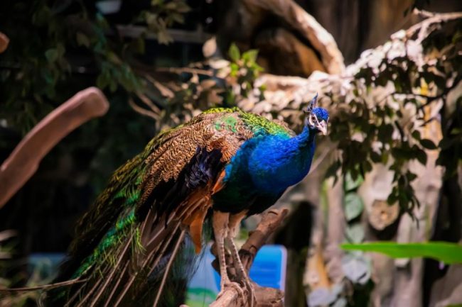 1771438281-c38a54e65f55fcd